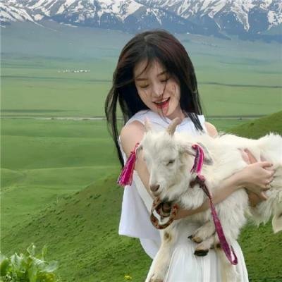 虎鲨在行动